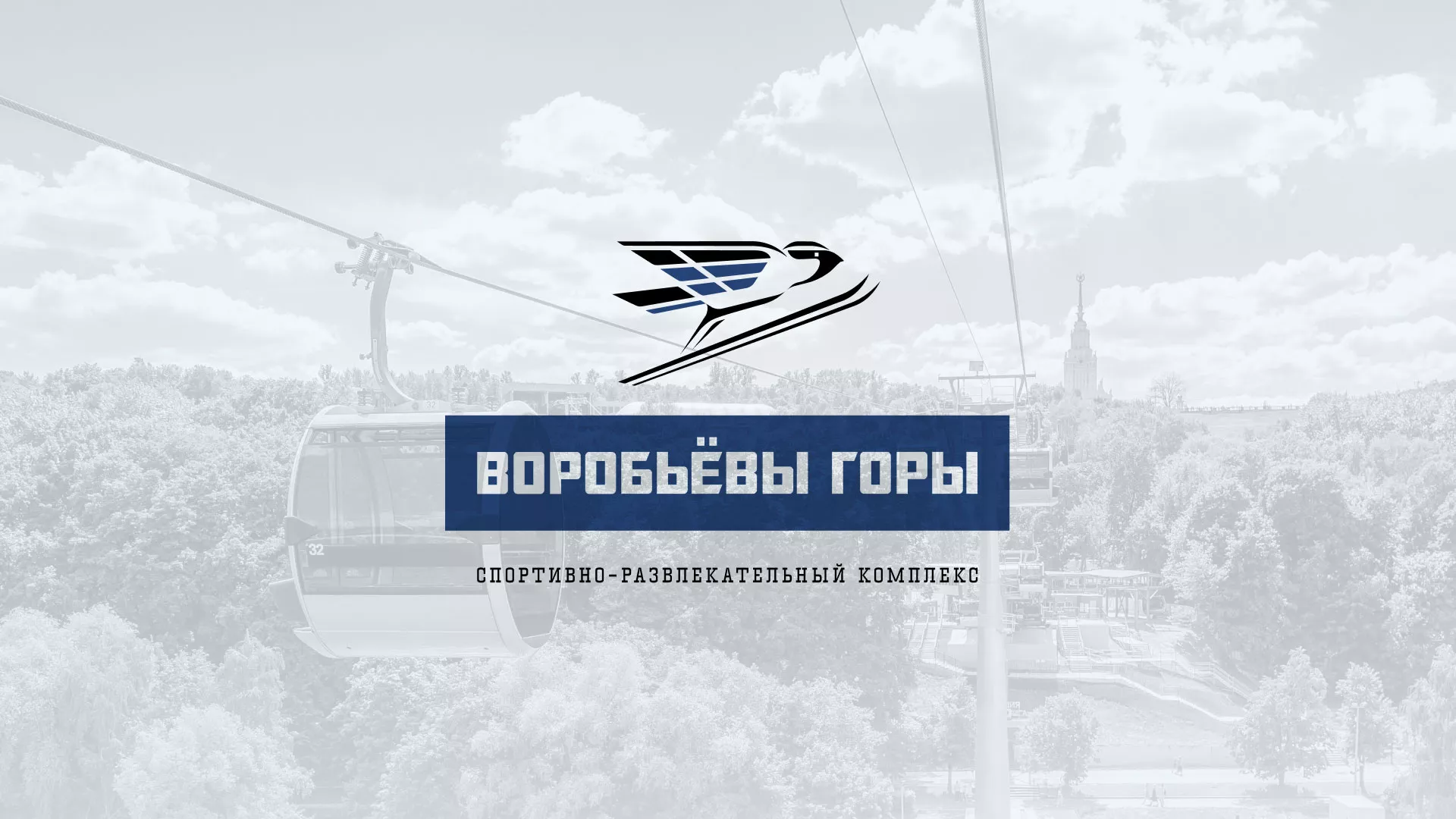 Разработка сайта в Александровске для спортивно-развлекательного комплекса «Воробьёвы горы»
