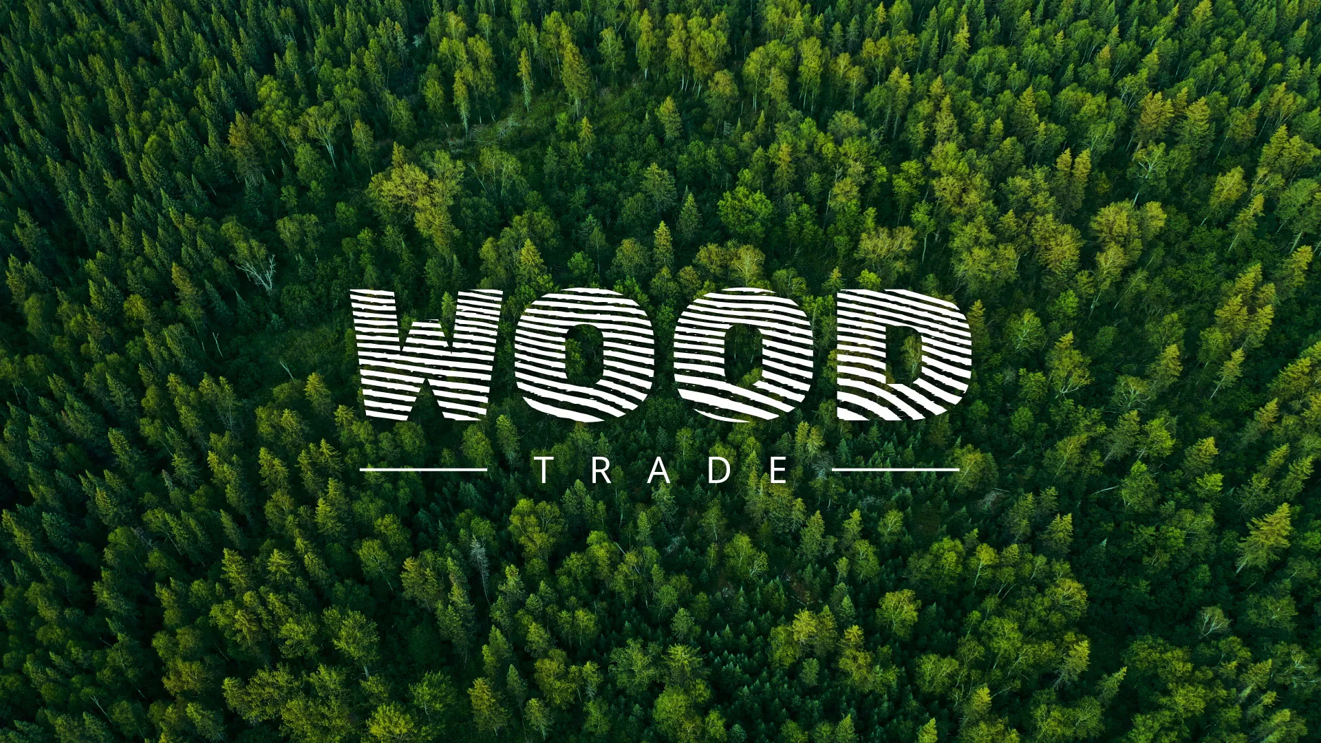 Разработка интернет-магазина компании «Wood Trade» в Александровске