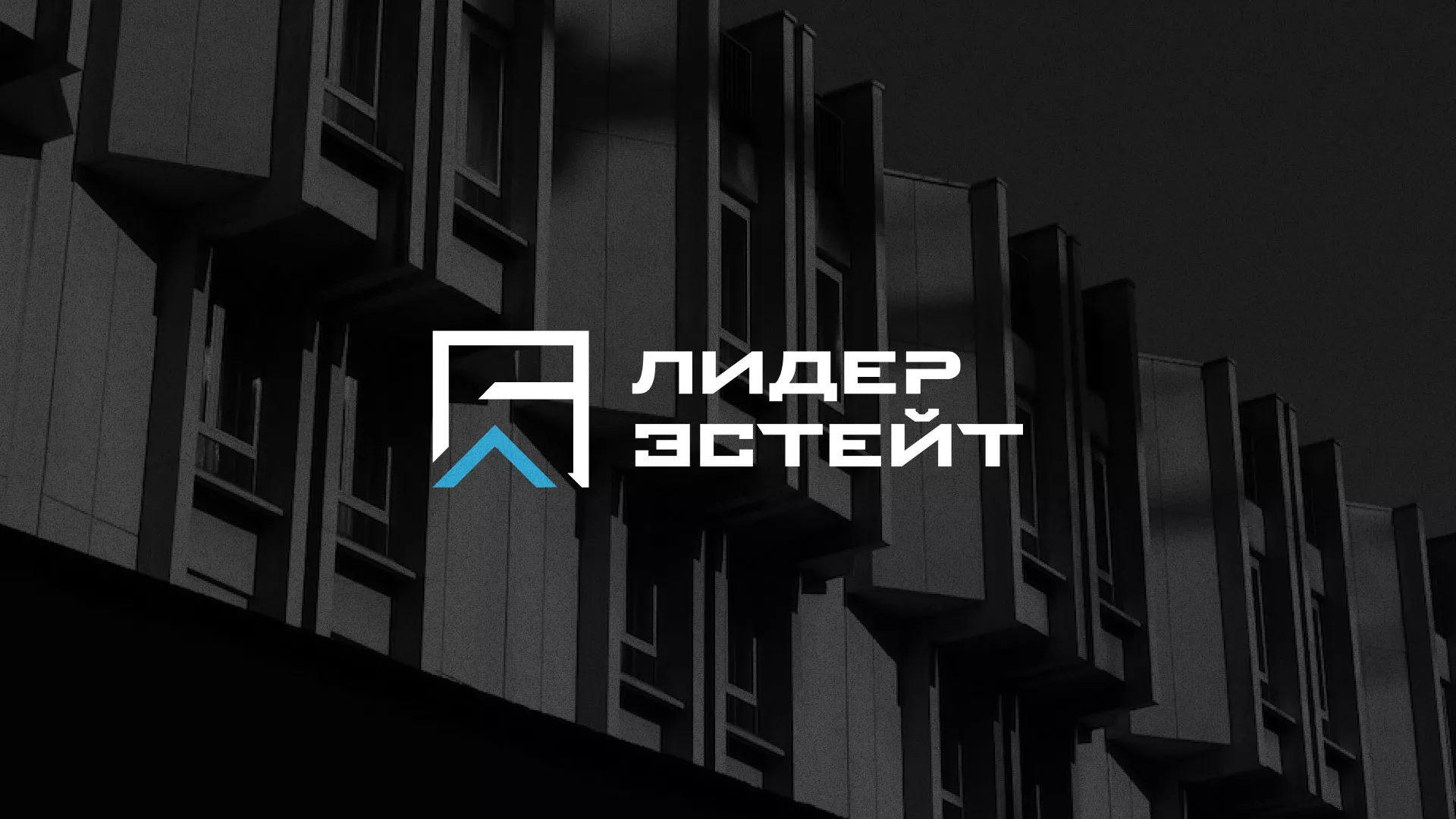 Разработка логотипа агентства недвижимости «Лидер Эстейт» в Александровске